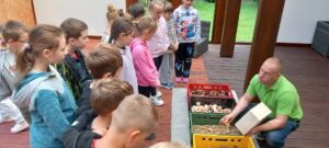 Miniaturka artykułu Warsztaty ekologiczne w „Leśnym Zakątku” w Piątkowej