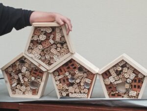 Miniaturka artykułu Uczniowie klasy 5 wzięli udział w warsztatach ekologicznych pt. „Innowacje ekologiczne na Sadecczyźnie”