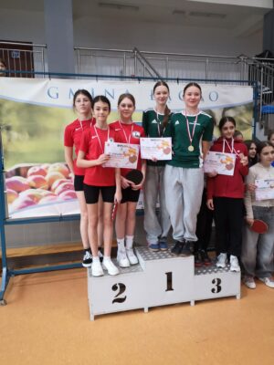 Miniaturka artykułu Powiatowe Drużynowe Zawody w Tenisie Stołowym Dziewcząt – Igrzyska Młodzieży Szkolnej